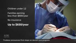 Dental care for kids part of 1st phase of Liberals' plan News Clip