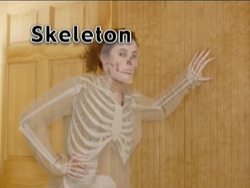 Moving Muscles and Bones: Your Skeletal System Instructional Video