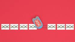 TED-Ed: How CRISPR lets you edit DNA - Andrea M. Henle Instructional Video