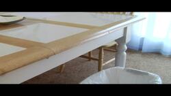 How to Catch a Rodent with a Paper Towel Roll Instructional Video