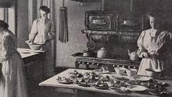 The Life of Typhoid Mary Instructional Video