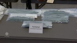 Fentanyl overdoses and deaths News Clip