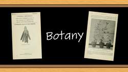 Barbara McClintock: Scientific Persistence Pays Off Instructional Video