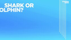 Be Well: How to Stay Safe During A Beach Trip News Clip