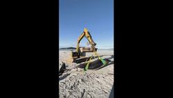 Mysterious beached whale corpse linked to species never seen alive Instructional Video