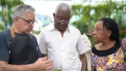 Mature African Couple Customer Buying at Flower Market Stock Footage