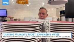 Tasting The World's Most Expensive Fries News Clip