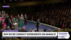 Why We Experiment On Animals News Clip