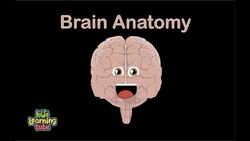 Human Body /Brain Song/Human Body Systems Instructional Video