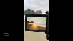 #TheMoment a photographer got the perfect shot of a 'sunstar' News Clip