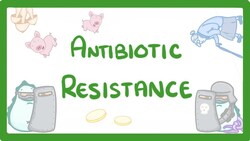 GCSE Biology - What is Antibiotic Resistance? Why Antibiotic Resistance is a HUGE issue #81 Instructional Video