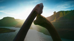 The Dinosaurs Too Big To Be Dinosaurs Instructional Video