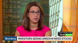 Corona Beer Maker Bets $3.8 Billion on Legal Marijuana News Clip