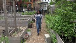 Community-run green space needs help to keep produce growing News Clip