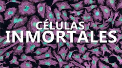 HeLa y las CÉLULAS INMORTALES | 8 de febrero Instructional Video