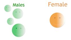 Mating & Courtship Behaviour Instructional Video