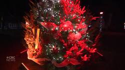 Light displays shine bright across the country News Clip