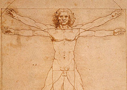 Proportion: The Vitruvian Man Instructional Video
