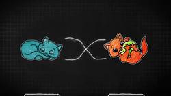 NEW RESULTS! Cosmic Quantum Bell Test Instructional Video