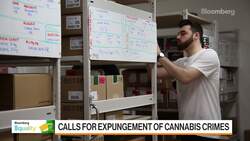 Five More States Legalized Cannabis, Expungement Is Next Hurdle News Clip