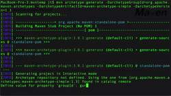 Apache Maven Beginner to Guru - Maven Archetypes Instructional Video