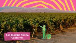 Gary Soto Instructional Video