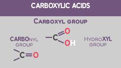Carboxylic Acids, Typical Acids and Esters Instructional Video