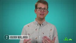 6 Microbes Saving the Environment Instructional Video