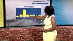 Dreary and gusty with cool temperatures for NYC; tracking rain for Friday night News Clip
