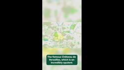 Paris' neighborhoods explained Instructional Video