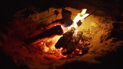 Roasting marshmallows over bonfire on the beach at night. Close-up Stock Footage