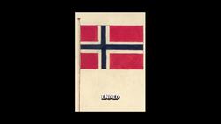 The REJECTED Norwegian Flag Proposals Instructional Video