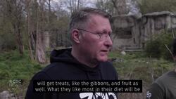 Zagreb Zoo inhabitants get their Easter treats News Clip