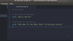 Bash Shell Scripting - My First Script Instructional Video