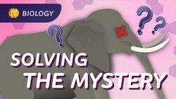 Intro to Ecology: Why Did All These Elephants Die?: Crash Course Biology #5 Instructional Video