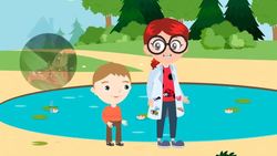 How do Insects Move? Instructional Video