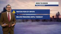 Cold, dry and sunny conditions in the Bronx News Clip