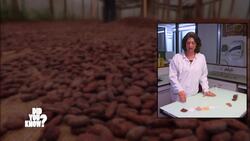 The Science of Hot Chocolate: From Powder to Perfect Sip Instructional Video