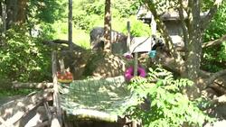 CLEAN : STOCKSHOTS: Celebrity giant panda Bei Bei News Clip