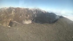 Robotic Fish! NSF Science Now 5 Instructional Video