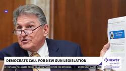 Democrats Call For New Gun Legislation News Clip