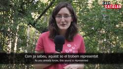 Easy Catalan 25 - How to Pronounce LL in Catalan-with subs Instructional Video