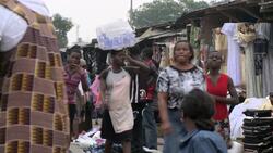 Subsidized Malaria Treatment in Africa: Making Effective Drugs Affordable Instructional Video