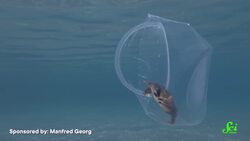 Why Can’t We Scoop All the Plastic Out of the Ocean? Instructional Video