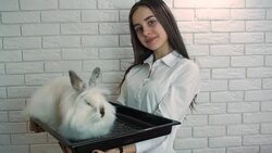 Dishes from the rabbit. Stock Footage