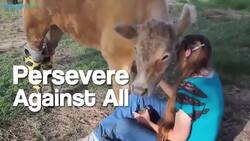 5 New Years Resolutions to Make Every Year Instructional Video