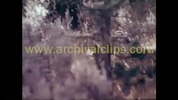 60s, Motorcycles Stock Footage