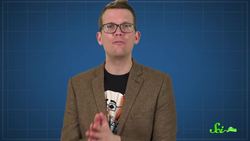 Phytoplankton: Arguably the Most Important Life on Earth Instructional Video