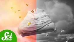 The Only Generation That Dreamed in Black and White Instructional Video