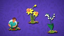 High Five Facts - Poisonous Plants Instructional Video